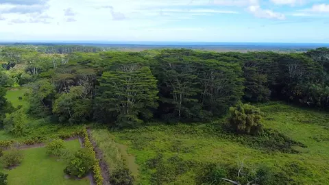 Undisclosed, Kurtistown, HI 96760