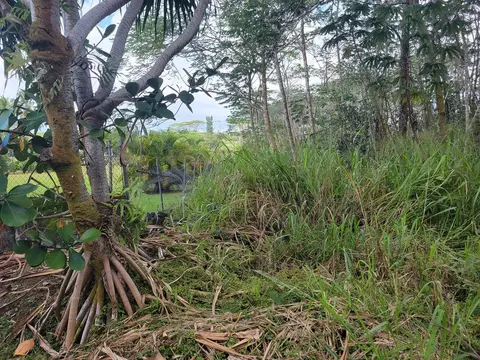 Makuu Dr, Keaau, HI 96749