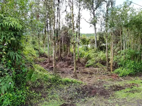 Oahu Rd, Pahoa, HI 96778