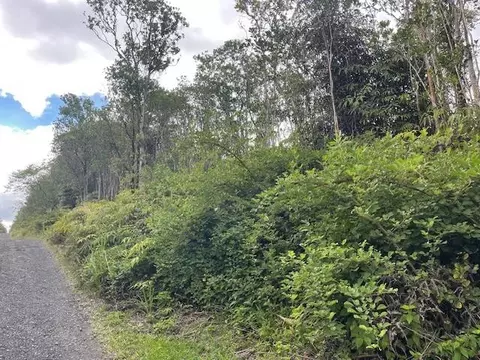 Makoa Rd, Volcano, HI 96785