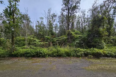 Road 7, Mountain View, HI 96771