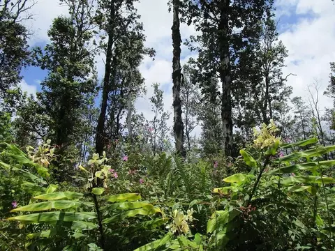 Road 9, Kurtistown, HI 96760