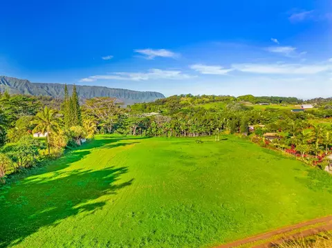Kapaka St, Princeville, HI 96722