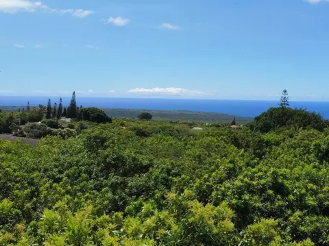 Kuamoo Rd, Naalehu, HI 96772