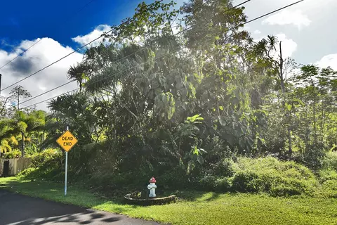 Opae St, Pahoa, HI 96778