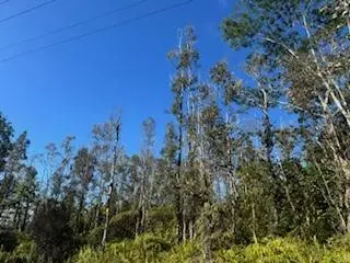 Forest Rd, Pahoa, HI 96778