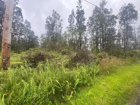 16-1636 Uau Rd, Mountain View, HI 96760
