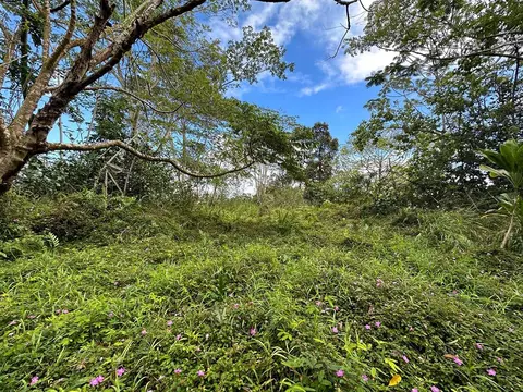 Pahoa Rd, Kurtistown, HI 96760