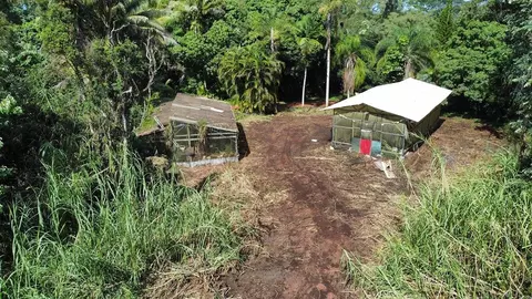 Pakaka Rd, Pahoa, HI 96778