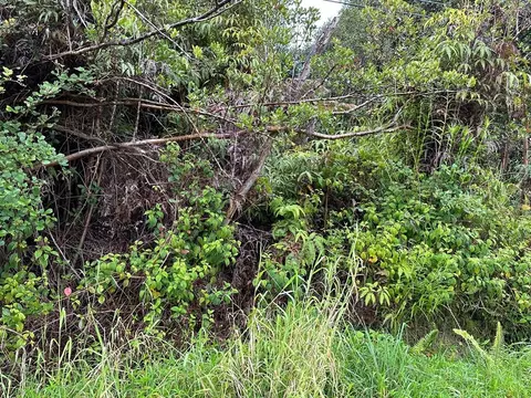 Hilohilo St, Volcano, HI 96785