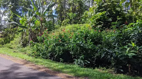 15-2764 Lalakea St, Pahoa, HI 96778