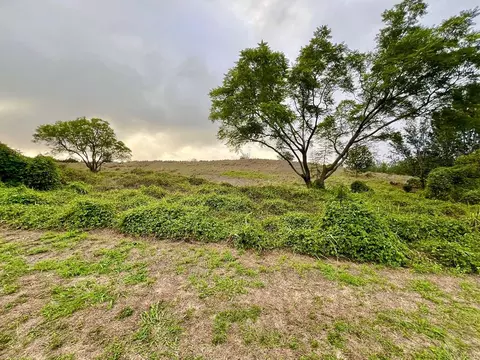 puu kamanu ln LOT 16, Kailua Kona, HI 96740