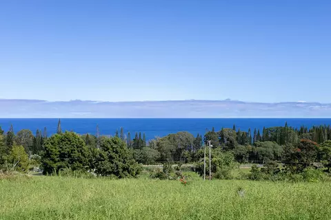 28-1813 Old Mamalahoa Hwy, Honomu, HI 96728