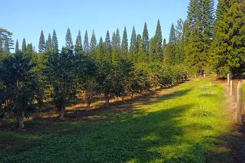 17 Moaula St, Pahala, HI 96777