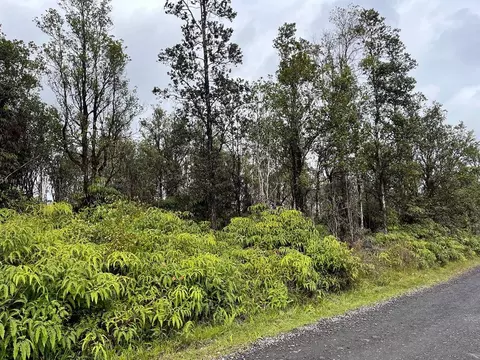 Kaleponi Dr, Volcano, HI 96785