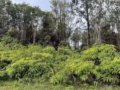 Kaleponi Dr, Volcano, HI 96785