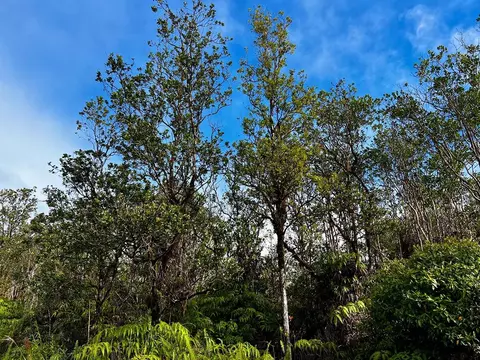 Mailenani Rd, Volcano, HI 96785