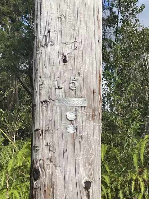 Ala Naulani Rd, Volcano, HI 96785