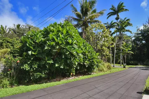 15-2815 Opae St, Pahoa, HI 96778