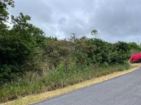 Kaulua Cir, Naalehu, HI 96772