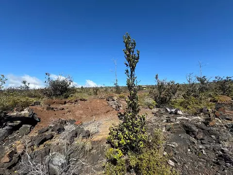 mahimahi dr LOT 33, Ocean View, HI 96737
