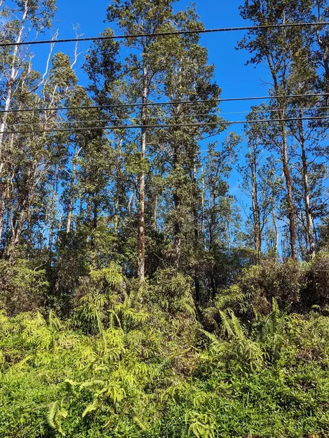 Bamboo Dr, Pahoa, HI 96778