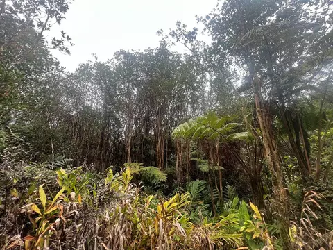 18-2013 Road 11, Volcano, HI 96785