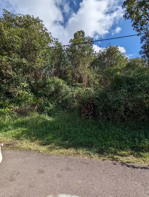 Puna Wai Ave, Mountain View, HI 96771