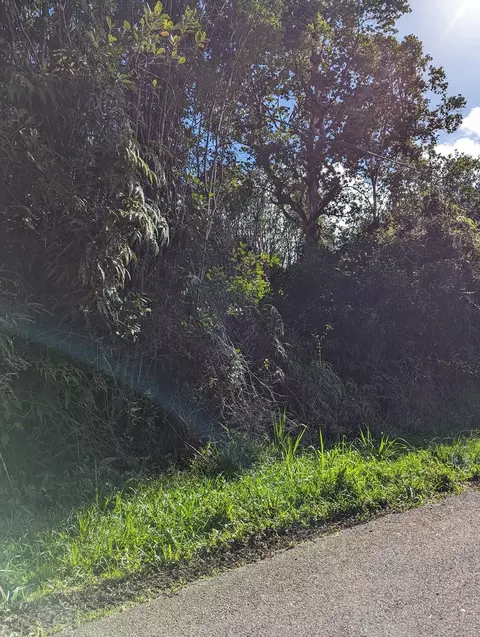 Puna Wai Ave, Mountain View, HI 96771