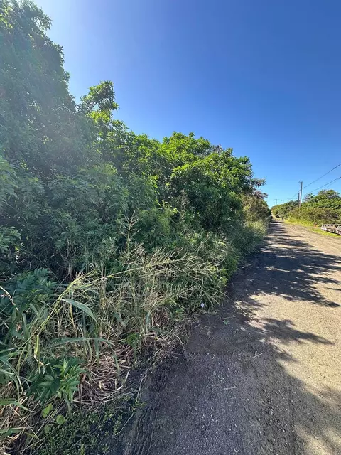 Pua St, Naalehu, HI 96772