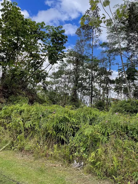 Cameo Circle, Pahoa, HI 96778
