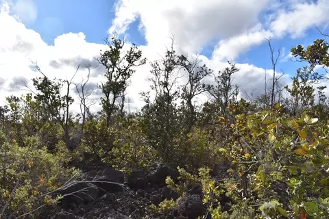 Catamaran Ln, Ocean View, HI 96737