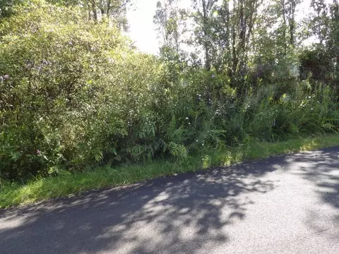 Tiki Ln, Pahoa, HI 96778