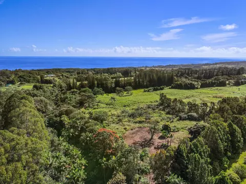 29-2458 Kaiwiki Homestead Rd, Hakalau, HI 96710