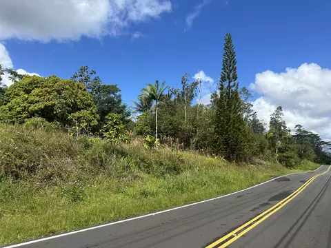 16-1194 Moho Rd, Kurtistown, HI 96760