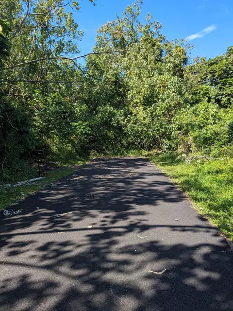 Moi St, Pahoa, HI 96778