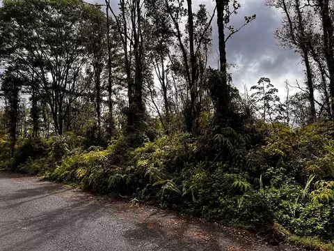 Aloha Dr, Kurtistown, HI 96760