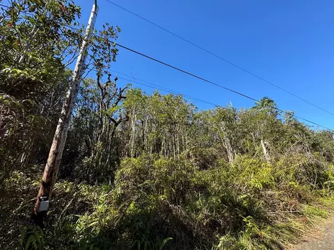 Road 5, Mountain View, HI 96760