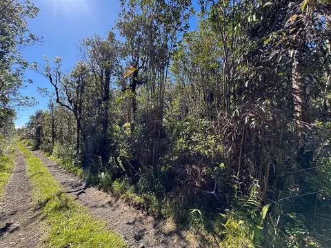 Road 5, Mountain View, HI 96760