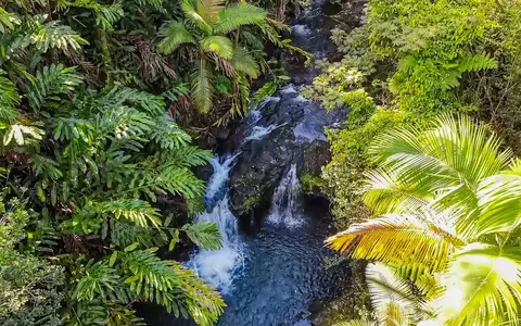 Kaiwiki Homestead Rd, Hakalau, HI 96710