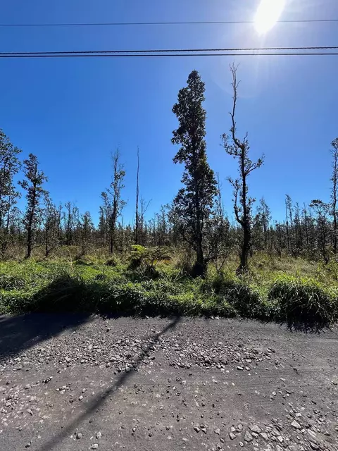 Road G, Mountain View, HI 96760