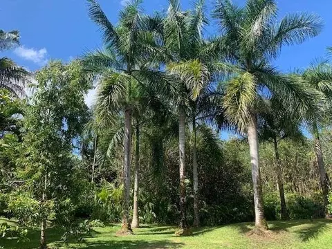 16-311 Pohaku Dr, Keaau, HI 96749