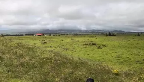 Undisclosed, Kamuela, HI 96743