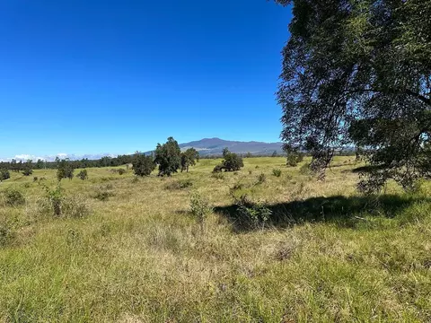 11- D, Kealakekua, HI 96725