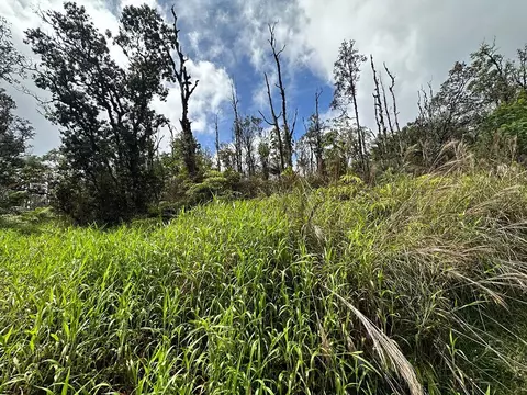 Road 6, Mountain View, HI 96760
