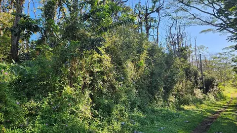 Maui Rd, Pahoa, HI 96778