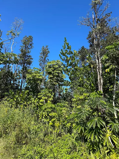 Kilika Rd, Keaau, HI 96749