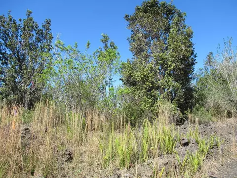 Aloha Blvd, Ocean View, HI 96737