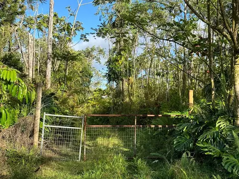 13-3465 Nohea St, Pahoa, HI 96778
