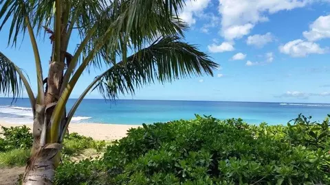 410 Papaloa Rd #323, Kapaa, HI 96746